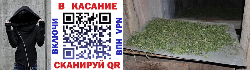 МЕФ Нерехта