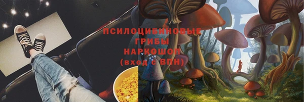 скорость Белокуриха