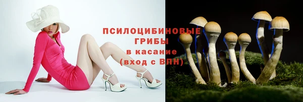 скорость Белокуриха